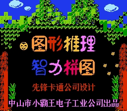 图形推理与智力拼图(中文) 游戏封面