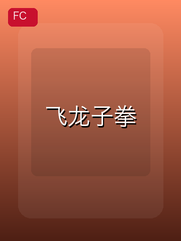 飞龙子拳 游戏封面