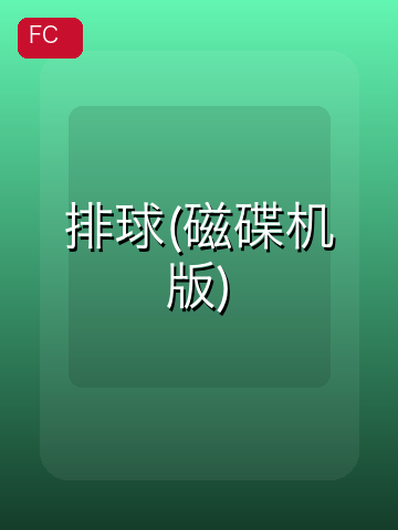 排球(磁碟机版) 游戏封面