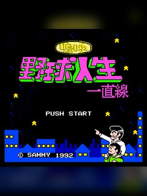 热血棒球人生 游戏封面